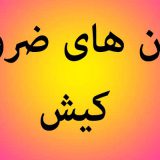 لیست تلفن های ضروری کیش